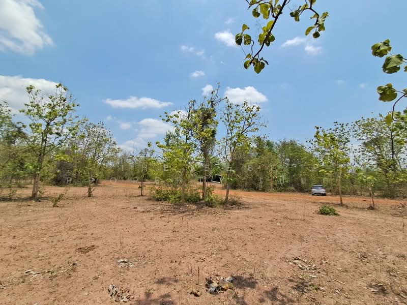 ขาย - ที่ดินด่านมะขามเตี้ย กาญจนบุรี, กาญจนบุรี