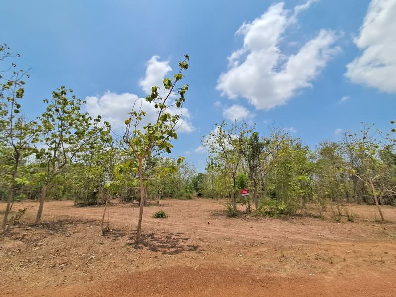 ขาย - ที่ดินด่านมะขามเตี้ย กาญจนบุรี, กาญจนบุรี