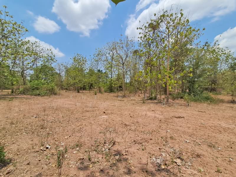 ที่ดินด่านมะขามเตี้ย กาญจนบุรี, Kanchanaburi, Klon Do, Dan Makham Tia, Kanchanaburi, , 3,192 sqm, Land For Sale, by The Best Property เปี๊ยก, 500294798 - DDproperty.com