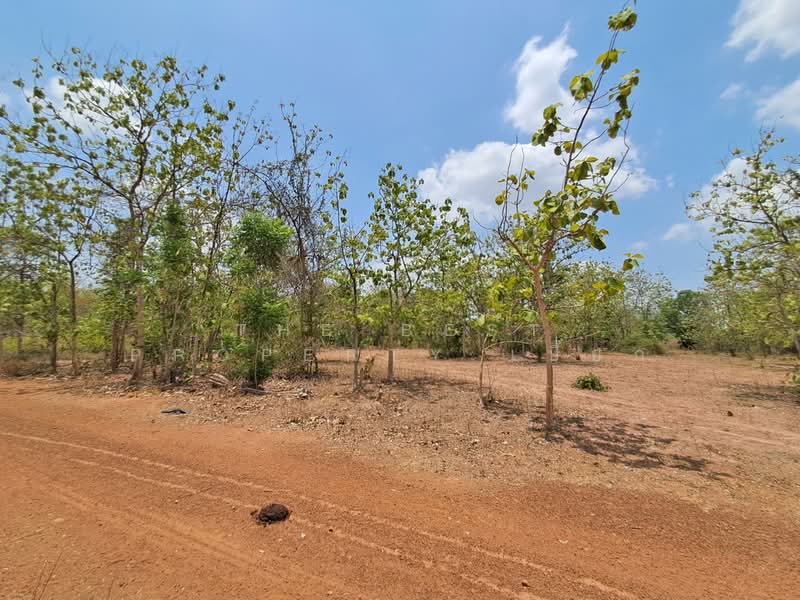 ที่ดินด่านมะขามเตี้ย กาญจนบุรี, Kanchanaburi, Klon Do, Dan Makham Tia, Kanchanaburi, , 3,192 sqm, Land For Sale, by The Best Property เปี๊ยก, 500294798 - DDproperty.com