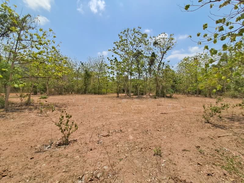 ที่ดินด่านมะขามเตี้ย กาญจนบุรี, Kanchanaburi, Klon Do, Dan Makham Tia, Kanchanaburi, , 3,192 sqm, Land For Sale, by The Best Property เปี๊ยก, 500294798 - DDproperty.com