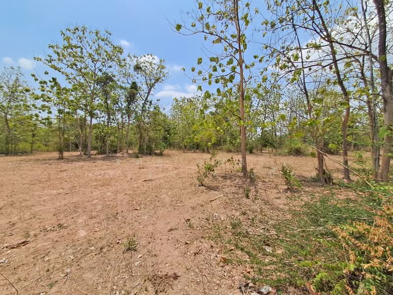 ขาย - ที่ดินด่านมะขามเตี้ย กาญจนบุรี, กาญจนบุรี