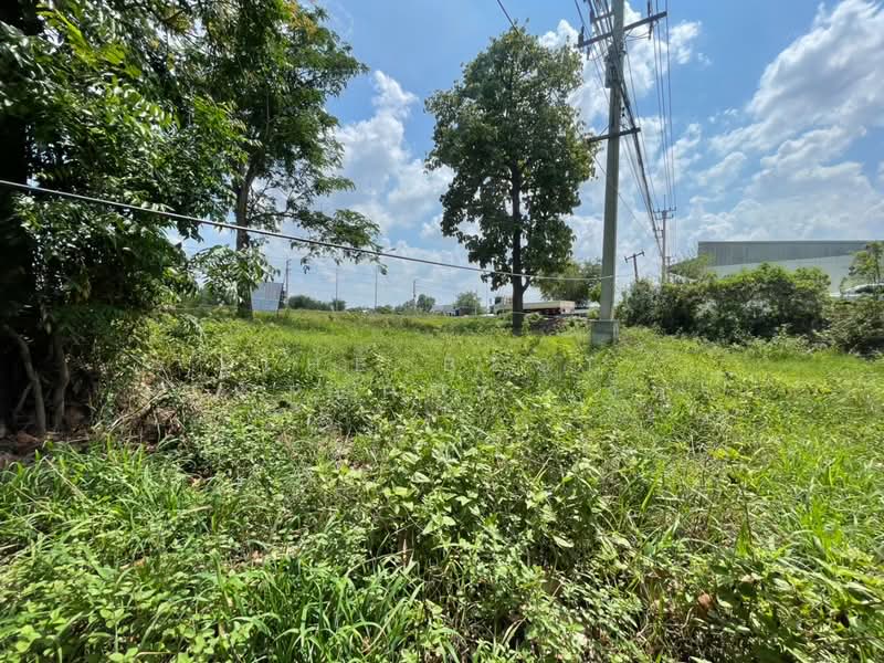 ที่ดินกุดรัง มหาสารคาม, Maha Sarakham, Kut Rang, Kut Rang, Maha Sarakham, , 1,608 sqm, Land For Sale, by The Best Property  อัคร, 500294811 - DDproperty.com