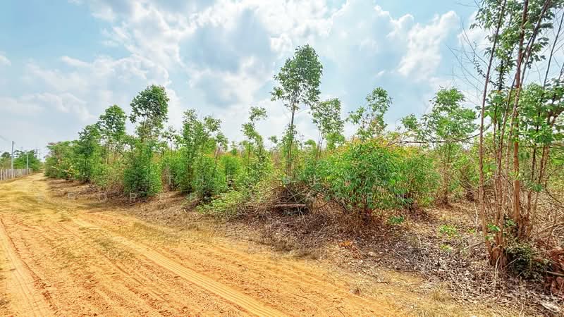 ที่ดินปากท่อ ราชบุรี, ราชบุรี, อ่างหิน, ปากท่อ, ราชบุรี, 23,732 ตร.ม., ที่ดิน ขาย, โดย The Best Property Agent ลิลลี่, 500294907 - DDproperty.com