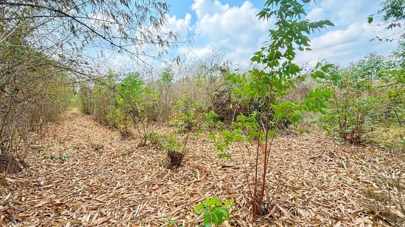 ที่ดินปากท่อ ราชบุรี, ราชบุรี, อ่างหิน, ปากท่อ, ราชบุรี, 23,732 ตร.ม., ที่ดิน ขาย, โดย The Best Property Agent ลิลลี่, 500294907 - DDproperty.com