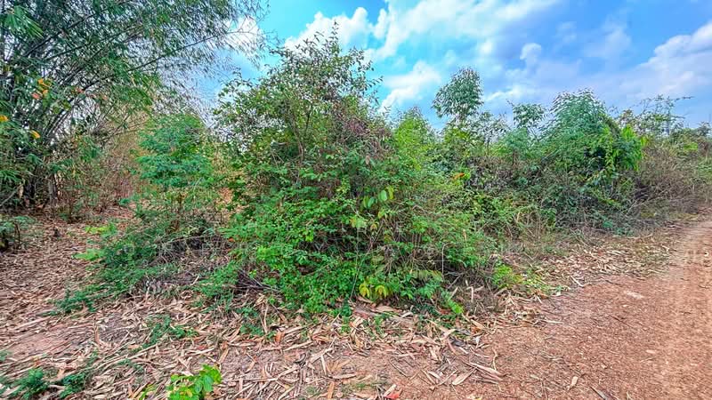 ที่ดินปากท่อ ราชบุรี, Ratchaburi, Ang Hin, Pak Tho, Ratchaburi, , 23,732 sqm, Land For Sale, by The Best Property Agent ลิลลี่, 500294907 - DDproperty.com