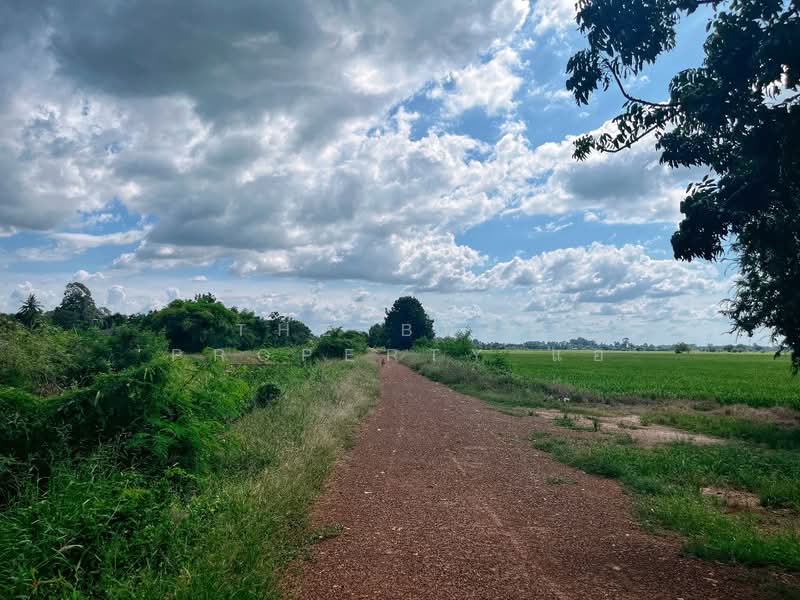ที่ดินวัดสิงห์ ชัยนาท, ชัยนาท, หนองน้อย, วัดสิงห์, ชัยนาท, 10,564 ตร.ม., ที่ดิน ขาย, โดย The Best Property แอ้, 500294952 - DDproperty.com