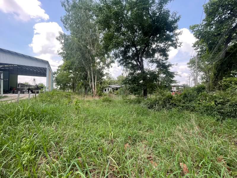 For Sale - ที่ดินกุดรัง มหาสารคาม, Maha Sarakham