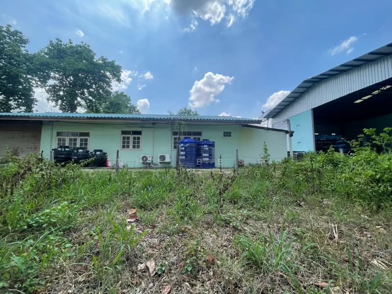 For Sale - ที่ดินกุดรัง มหาสารคาม, Maha Sarakham