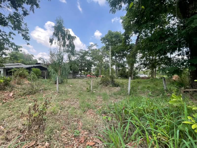 For Sale - ที่ดินกุดรัง มหาสารคาม, Maha Sarakham