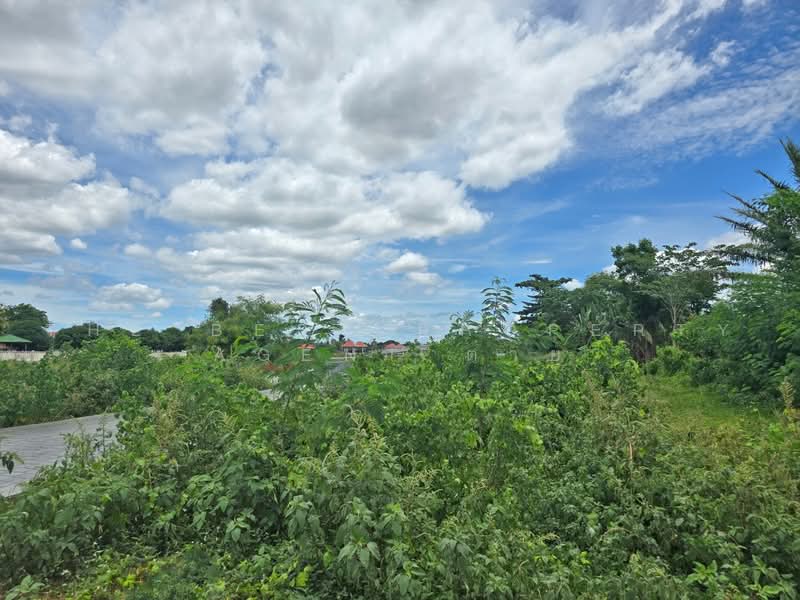 ที่ดินท่ายาง เพชรบุรี, Phetchaburi, Tha Koi, Tha Yang, Phetchaburi, , 19,280 sqm, Land For Sale, by The Best Property Agent ต่าย, 500295002 - DDproperty.com