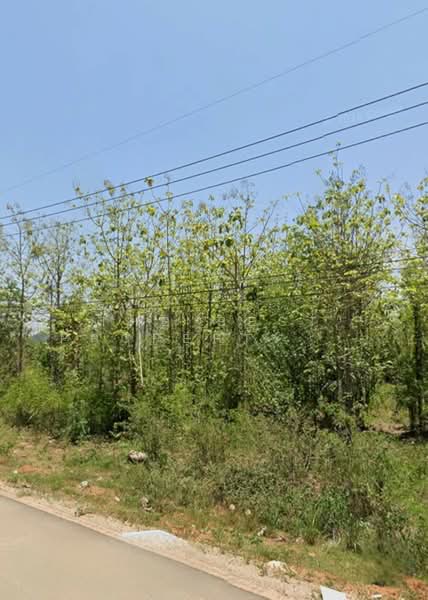 ขาย - ที่ดินท่ายาง เพชรบุรี, เพชรบุรี