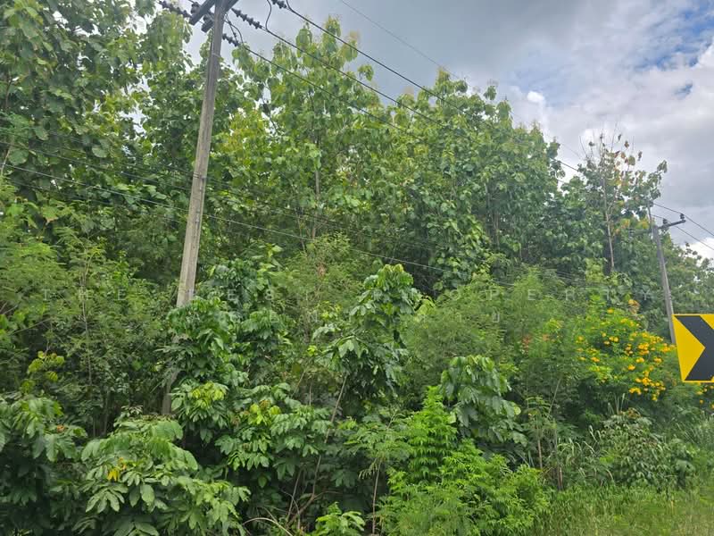 ที่ดินท่ายาง เพชรบุรี, เพชรบุรี, กลัดหลวง, ท่ายาง, เพชรบุรี, 16,924 ตร.ม., ที่ดิน ขาย, โดย The Best Property Agent ต่าย, 500295058 - DDproperty.com