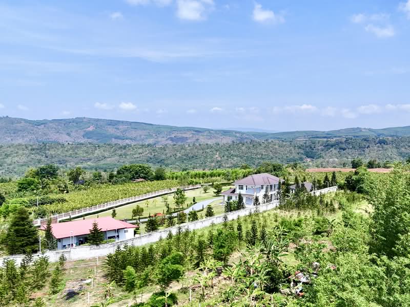 ็HOUSE IN THAILAND, Loei, Phon Sung, Dan Sai, Loei, 3 Bedrooms, 450 sqm, Single Detached House For Sale, by ณิชชา รุ่งเรืองมิตร, 500295204 - DDproperty.com