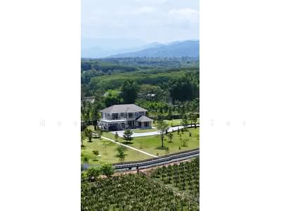 ขาย - บ้านหรู วิวภูเขา ด่านซ้าย จังหวัดเลย, เลย