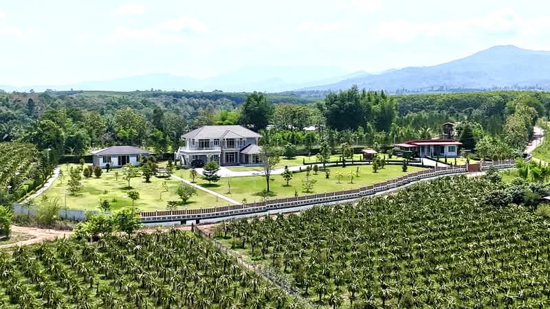็HOUSE IN THAILAND, Loei, Phon Sung, Dan Sai, Loei, 3 Bedrooms, 450 sqm, Single Detached House For Sale, by ณิชชา รุ่งเรืองมิตร, 500295204 - DDproperty.com