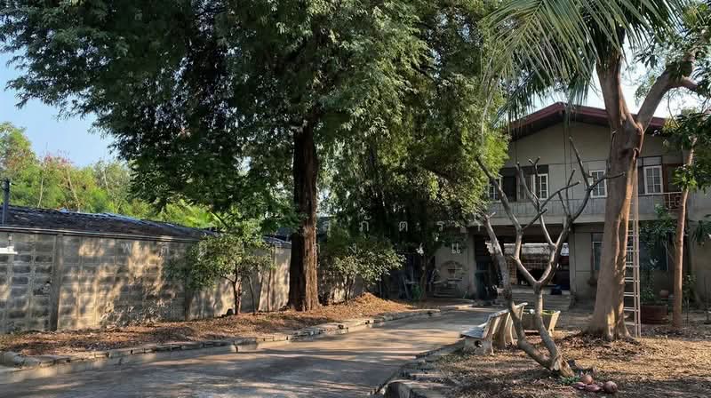 บ้านเดี่ยว 2 ชั้น + ตึกสำนักงาน 487 ตร.ว. ใกล้การไฟฟ้านครหลวง ซอยนวลจันทร์16, Bangkok, ถนนนวลจันทร์, Khlong Kum, Bueng Kum, Bangkok, , 1,000 sqm, Office Space For Sale, by คุณ สุภัตรา พลอยแดง (แพร), 500295252 - DDproperty.com