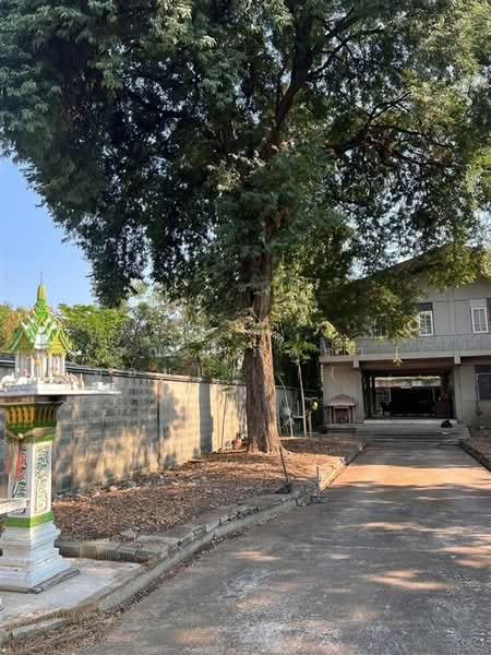 บ้านเดี่ยว 2 ชั้น + ตึกสำนักงาน 487 ตร.ว. ใกล้การไฟฟ้านครหลวง ซอยนวลจันทร์16, กรุงเทพ, ถนนนวลจันทร์, คลองกุ่ม, บึงกุ่ม, กรุงเทพ, 1,000 ตร.ม., สำนักงาน ขาย, โดย คุณ สุภัตรา พลอยแดง (แพร), 500295252 - DDproperty.com