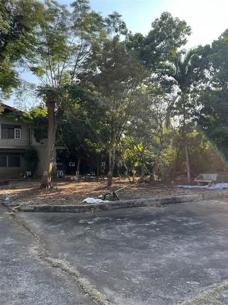 บ้านเดี่ยว 2 ชั้น + ตึกสำนักงาน 487 ตร.ว. ใกล้การไฟฟ้านครหลวง ซอยนวลจันทร์16, กรุงเทพ, ถนนนวลจันทร์, คลองกุ่ม, บึงกุ่ม, กรุงเทพ, 1,000 ตร.ม., สำนักงาน ขาย, โดย คุณ สุภัตรา พลอยแดง (แพร), 500295252 - DDproperty.com