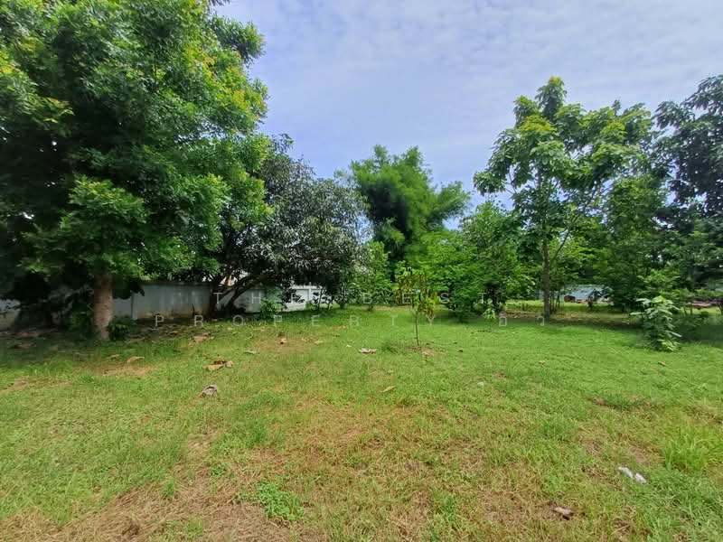บ้านเดี่ยวพร้อมที่ดินหินกอง ราชบุรี, Ratchaburi, Hin Kong, Muang Ratchaburi, Ratchaburi, 2 Bedrooms, 200 sqm, Single Detached House For Sale, by The Best Property อิ๋ว, 500295476 - DDproperty.com