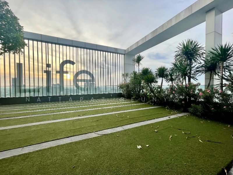 Life Sukhumvit 48, Bangkok, Soi Sukhumvit 48, Phra Kanong, Khlong Toei, Bangkok, 1 Bedroom, 33 sqm, Condo For Sale, by Nattapat Reunyota, 500295502 - DDproperty.com