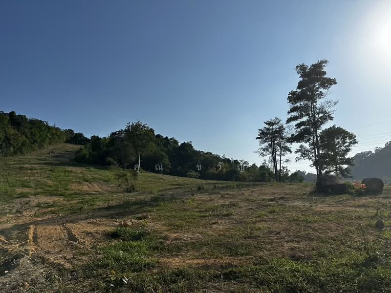 For Sale - LAND, Phuket