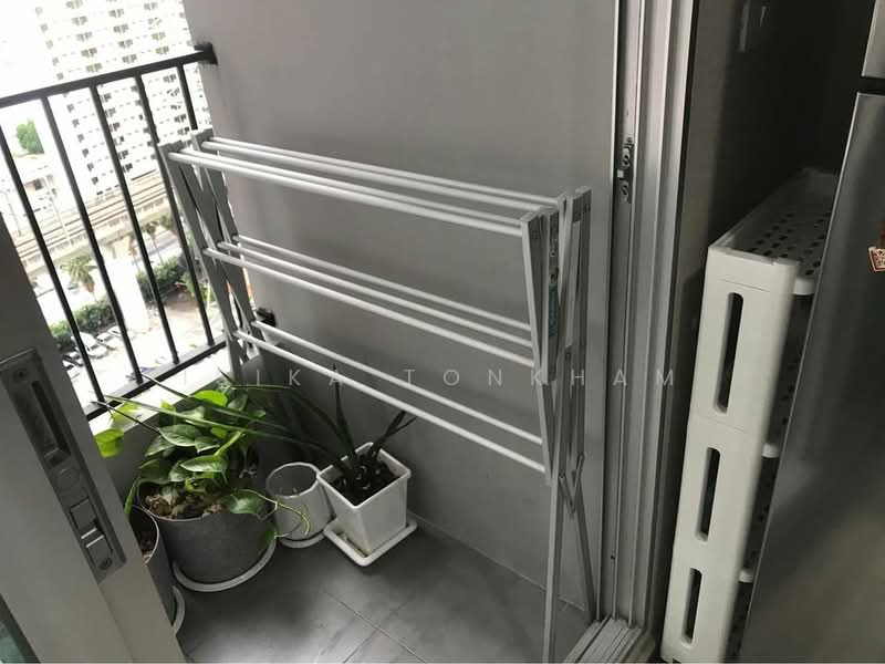 Plum Condo Ramkhamheng Station, Bangkok, Ramkhamhaeng Road, Suan Luang, Suan Luang, Bangkok, 1 Bedroom, 26 sqm, Condo For Rent, by Isika Tonkham, 500295798 - DDproperty.com