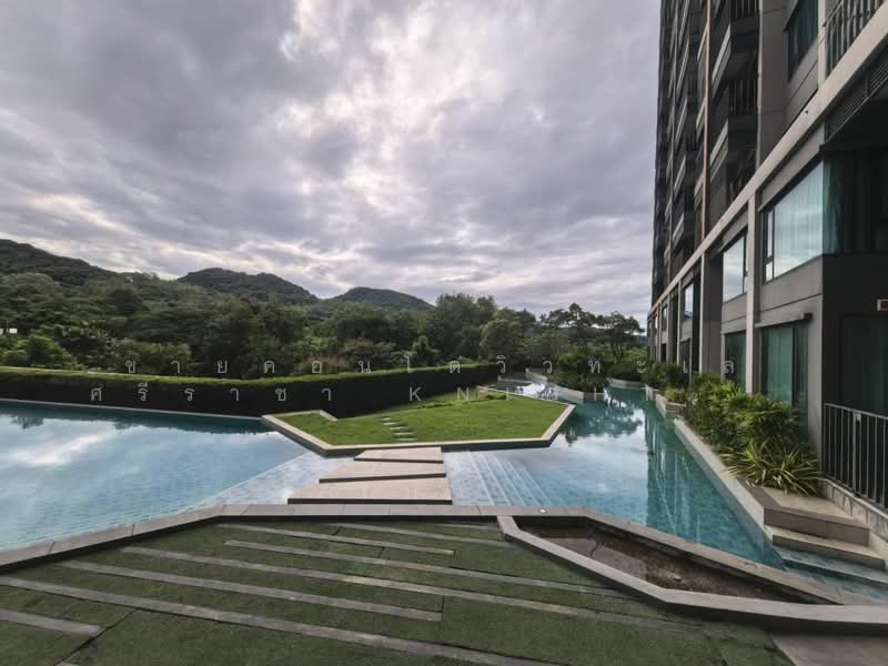 KnightsBridge The Ocean Sriracha, Chon Buri (Pattaya), 3 Sukhumvit, Surasak, Si Racha, Chon Buri (Pattaya), 1 Bedroom, 35 sqm, Condo For Sale, by ขายคอนโดวิวทะเล ศรีราชา KnightsBridge The Ocean 1 ห้องนอน 35.3 ตร.ม., 500295968 - DDproperty.com