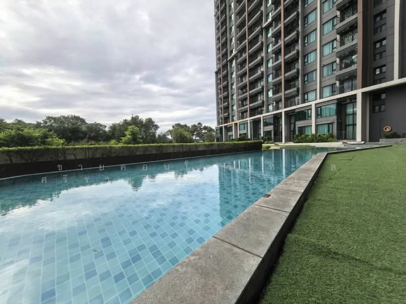 KnightsBridge The Ocean Sriracha : ไนท์บริดจ์ ดิ โอเชี่ยน ศรีราชา, ชลบุรี, 3 สุขุมวิท, สุรศักดิ์, ศรีราชา, ชลบุรี, 35 ตร.ม., คอนโด ขาย, โดย ขายคอนโดวิวทะเล ศรีราชา KnightsBridge The Ocean 1 ห้องนอน 35.3 ตร.ม., 500295968 - DDproperty.com