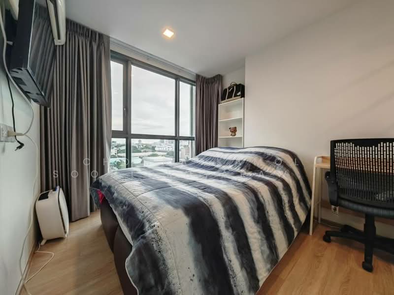 Taka Haus, Bangkok, 99 Soi Ekamai 10, Khlong Tan Nua, Watthana, Bangkok, 1 Bedroom, 37 sqm, Condo For Rent, by Chomratkamol Soontorntarawong (Gor), 500296338 - DDproperty.com