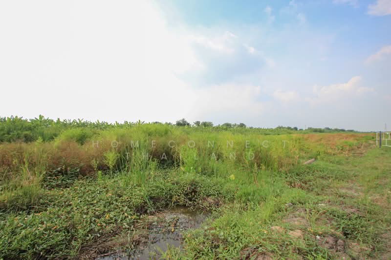 Land for Sale in Rangsit - Nakhon Nayok Road, ปทุมธานี, รังสิต - นครนายก, บึงสนั่น, ธัญบุรี, ปทุมธานี, 126,952 ตร.ม., ที่ดิน ขาย, โดย HomeConnect Thailand, 500296461 - DDproperty.com