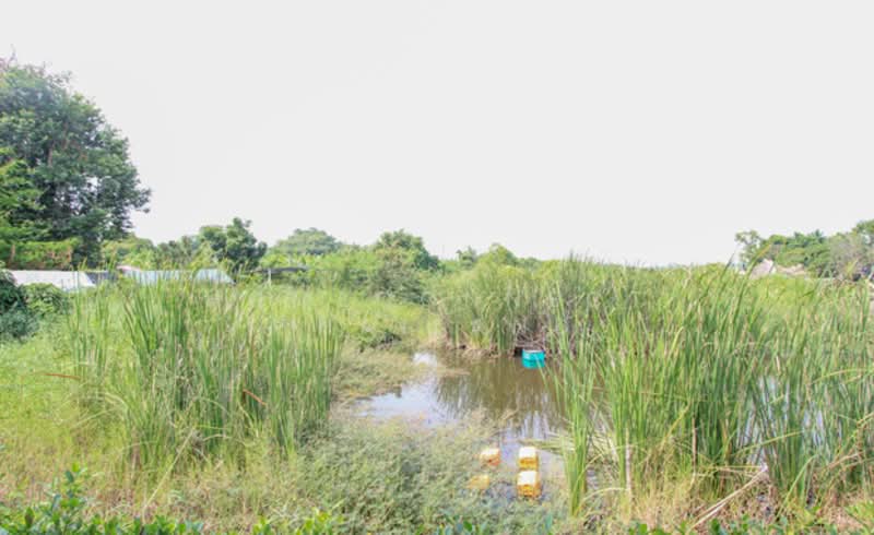 Land for Sale in Rangsit - Nakhon Nayok Road, ปทุมธานี, รังสิต - นครนายก, บึงสนั่น, ธัญบุรี, ปทุมธานี, 126,952 ตร.ม., ที่ดิน ขาย, โดย HomeConnect Thailand, 500296461 - DDproperty.com