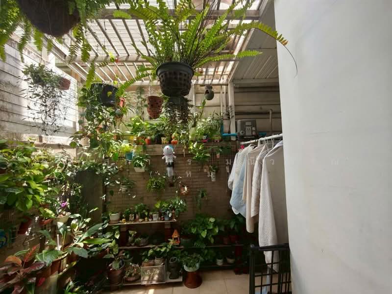 Baan Klang Muang Urbanion Kaset - Nawamin 2 : บ้านกลางเมือง เออร์บาเนี่ยน เกษตร - นวมินทร์ 2, กรุงเทพ, ถนนลาดปลาเค้า, อนุสาวรีย์, บางเขน, กรุงเทพ, 180 ตร.ม., ทาวน์เฮ้าส์ ขาย, โดย คุณ สุภาพร มณีวรรณ (ใหม่), 500296533 - DDproperty.com
