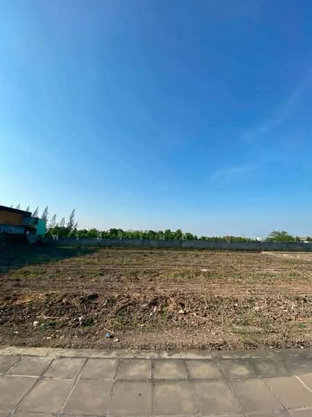 ให้เช่า - ที่ดินเปล่าให้เช่า ทำเลศักยภาพ ติดถนนใหญ่ อำเภอเมืองปทุมธานี ปทุมธานี (TL07-1026), ปทุมธานี