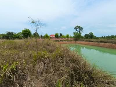 ขาย - ที่ดินพรเจริญ บึงกาฬ, บึงกาฬ
