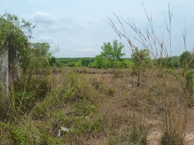 ที่ดินพรเจริญ บึงกาฬ, Bueng Kan, Pa Faek, Phon Charoen, Bueng Kan, , 5,200 sqm, Land For Sale, by The Best Property พจน์, 500296555 - DDproperty.com