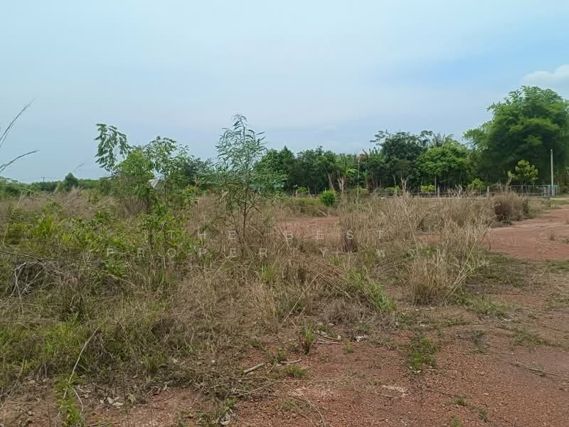 ที่ดินพรเจริญ บึงกาฬ, Bueng Kan, Pa Faek, Phon Charoen, Bueng Kan, , 5,200 sqm, Land For Sale, by The Best Property พจน์, 500296555 - DDproperty.com
