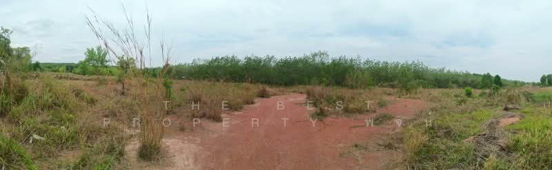ที่ดินพรเจริญ บึงกาฬ, บึงกาฬ, ป่าแฝก, พรเจริญ, บึงกาฬ, 5,200 ตร.ม., ที่ดิน ขาย, โดย The Best Property พจน์, 500296555 - DDproperty.com