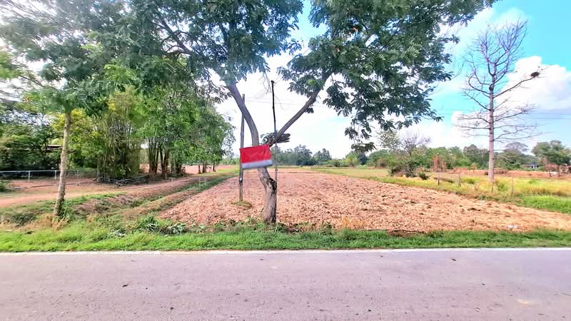 ขาย - ที่ดินสีแก้ว ร้อยเอ็ด, ร้อยเอ็ด