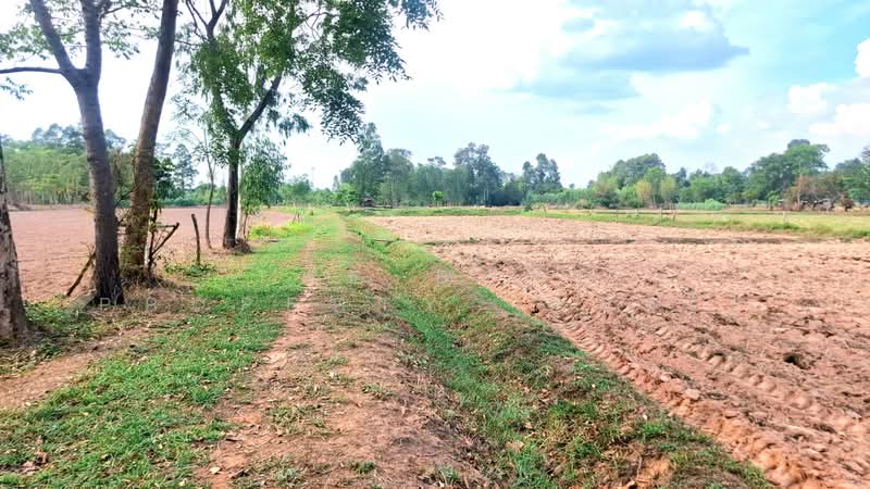 ขาย - ที่ดินสีแก้ว ร้อยเอ็ด, ร้อยเอ็ด