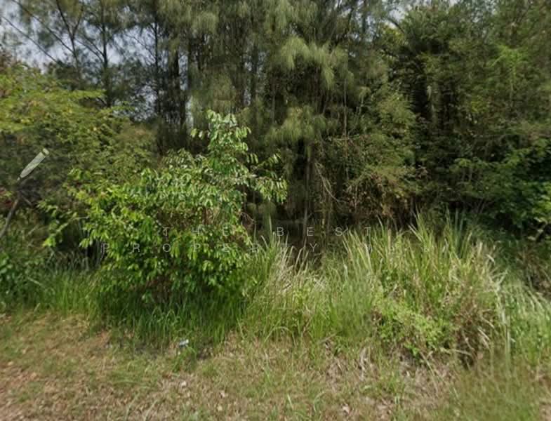 ที่ดินชะอำ เพชรบุรี, เพชรบุรี, ไร่ใหม่พัฒนา, ชะอำ, เพชรบุรี, 1,572 ตร.ม., ที่ดิน ขาย, โดย The Best Property ต่าย, 500296598 - DDproperty.com