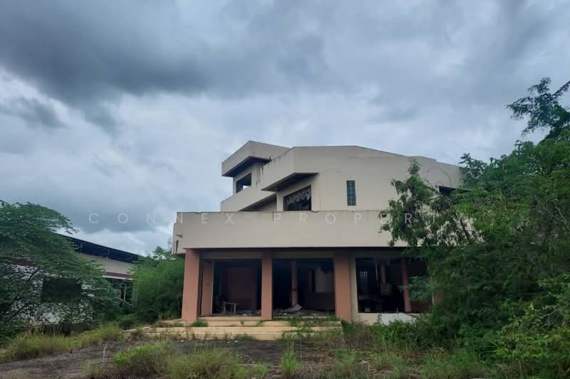 3 - storey warehouse on 5 rai 99.5 square wah Sukhumvit Wangwa Klaeng Rayong, Rayong, สุขุมวิท, Wang Wa, Klaeng, Rayong, , 3,500 sqm, Warehouse/Factory For Sale, by Connex Property, 500296623 - DDproperty.com