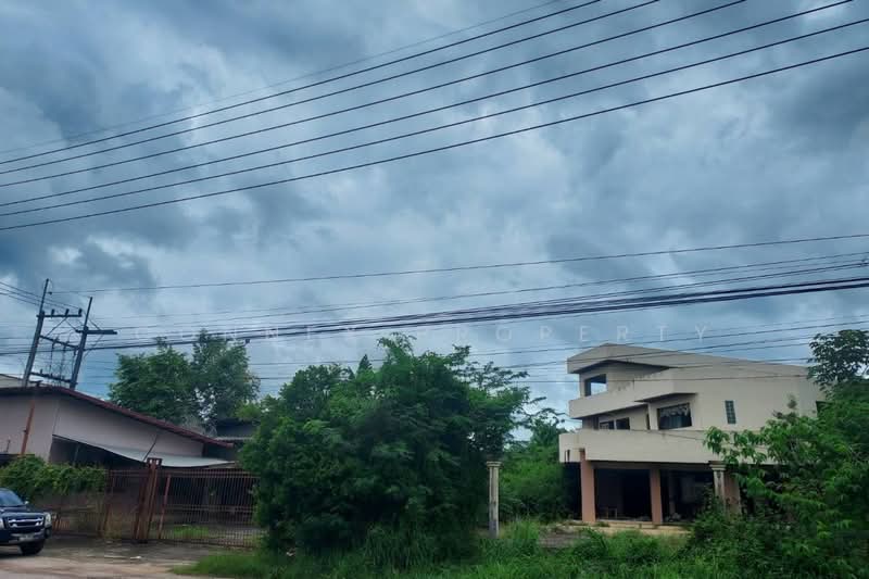 3 - storey warehouse on 5 rai 99.5 square wah Sukhumvit Wangwa Klaeng Rayong, Rayong, สุขุมวิท, Wang Wa, Klaeng, Rayong, , 3,500 sqm, Warehouse/Factory For Sale, by Connex Property, 500296623 - DDproperty.com