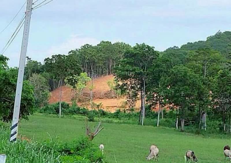 Land for Sale Silverlake Na Jomtien, Chon Buri (Pattaya), Bang Lamung, Bang Lamung (Pattaya), Chon Buri (Pattaya), , 10,436 sqm, Land For Sale, by PLC real estate, 500296839 - DDproperty.com