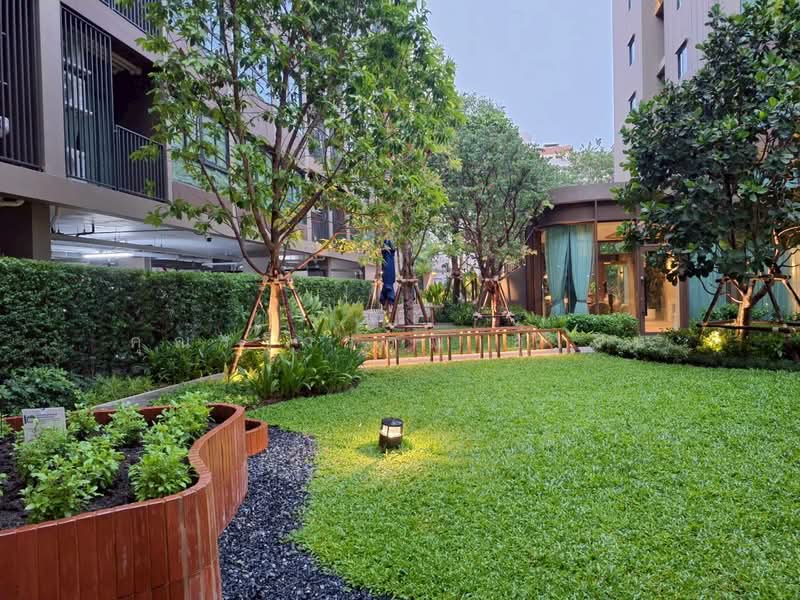 Dcondo Calm Ramkhamhaeng 40, Bangkok, Hua Mak, Bang Kapi, Bangkok, 1 Bedroom, 29 sqm, Condo For Rent, by คุณรวีวรรณ อู่เงิน, 500296977 - DDproperty.com