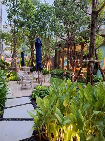 Dcondo Calm Ramkhamhaeng 40, Bangkok, Hua Mak, Bang Kapi, Bangkok, 1 Bedroom, 29 sqm, Condo For Rent, by คุณรวีวรรณ อู่เงิน, 500296977 - DDproperty.com