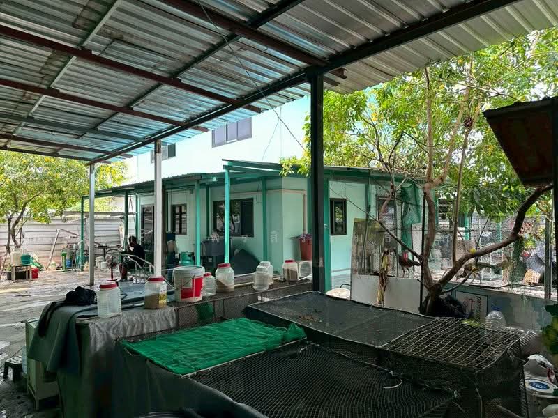โกดังให้เช่า 400ตรม พร้อมออฟฟิศ และที่พักคนงาน ลานจอด200ตรม. แขวงทับช้าง สะพานสูง กทม (TW8-17026), Bangkok, Thap Chang, Saphan Sung, Bangkok, , 400 sqm, Warehouse/Factory For Rent, by ณภัทร พรสิริเมธากุล, 500297043 - DDproperty.com