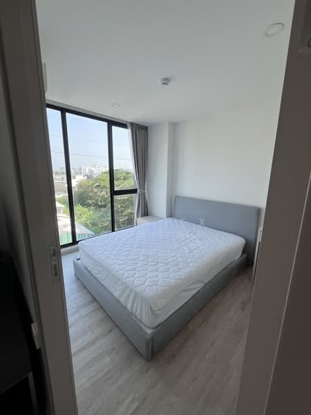 Serio Sukhumvit 50, Bangkok, Soi Sukhumvit 50, Phra Kanong, Khlong Toei, Bangkok, 1 Bedroom, 29 sqm, Condo For Rent, by Connex Property, 500297172 - DDproperty.com