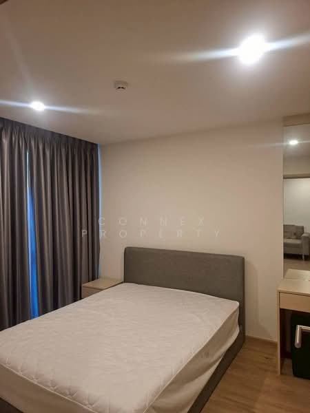 Serio Sukhumvit 50, Bangkok, Soi Sukhumvit 50, Phra Kanong, Khlong Toei, Bangkok, 1 Bedroom, 41 sqm, Condo For Rent, by Connex Property, 500297173 - DDproperty.com