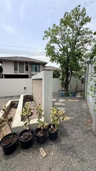 Saransiri Srivaree, Samut Prakan, 343 Rural Road, Srisa Chorakhe Noi, Bang Sao Thong, Samut Prakan, 4 Bedrooms, 245 sqm, Single Detached House For Rent, by Connex Property, 500297185 - DDproperty.com